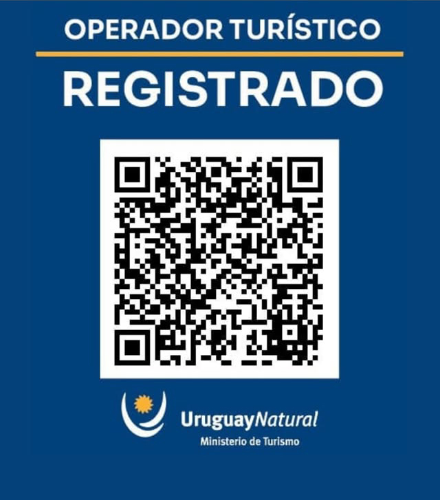 Numero de operador N° 2100 - Machado y Olivera Inmobiliaria - Administración